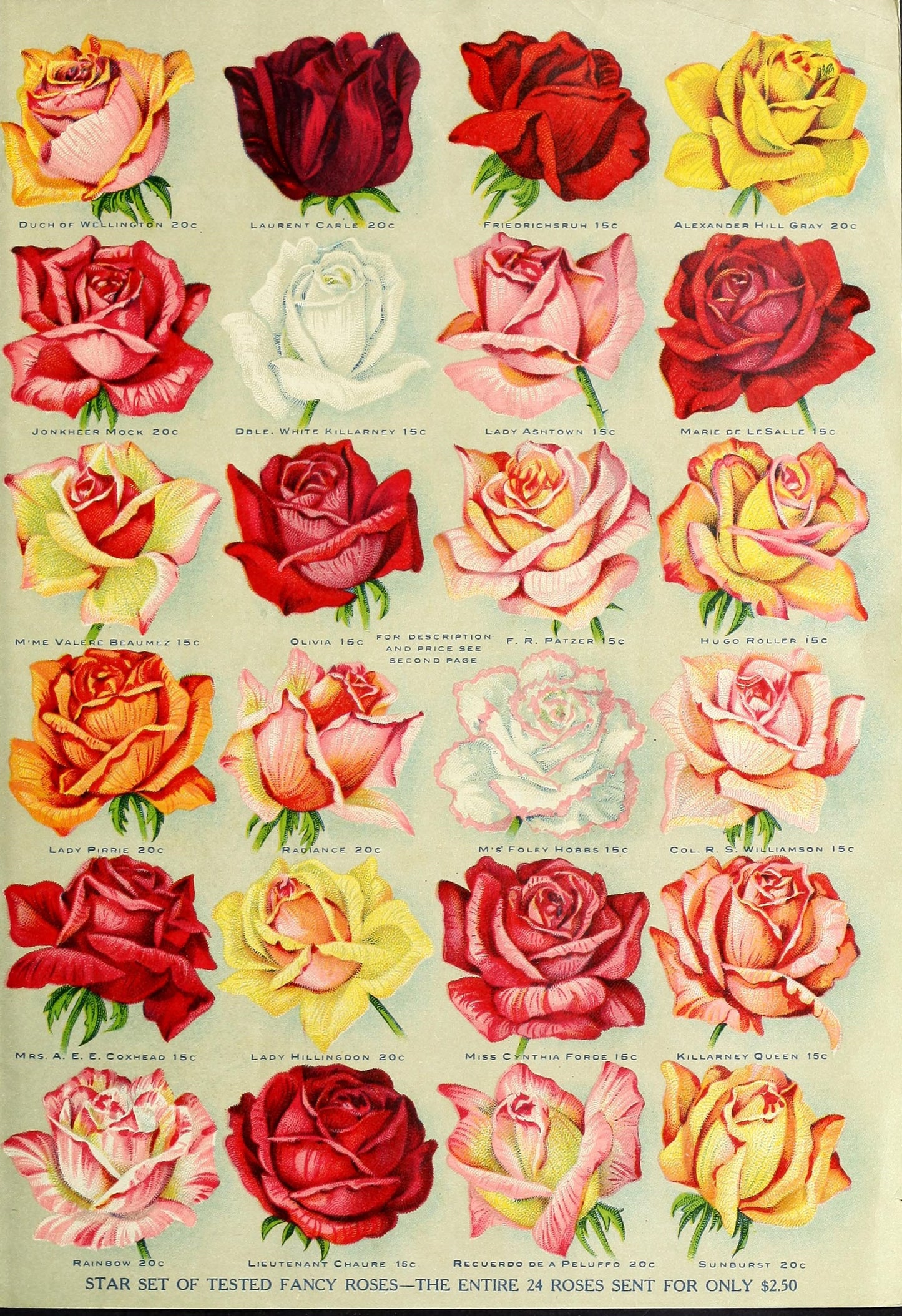 Garden Consultation