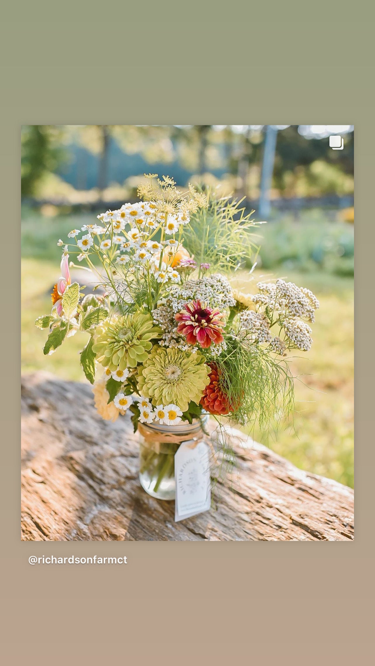 Garden Delight Monthly Flower CSA