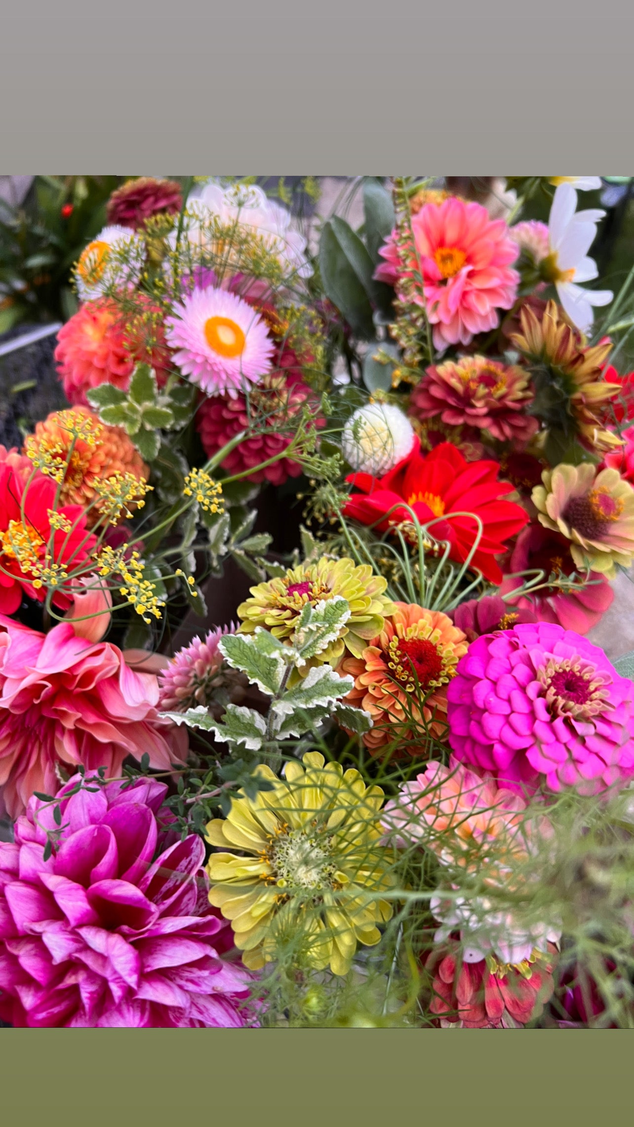 Garden Delight Monthly Flower CSA