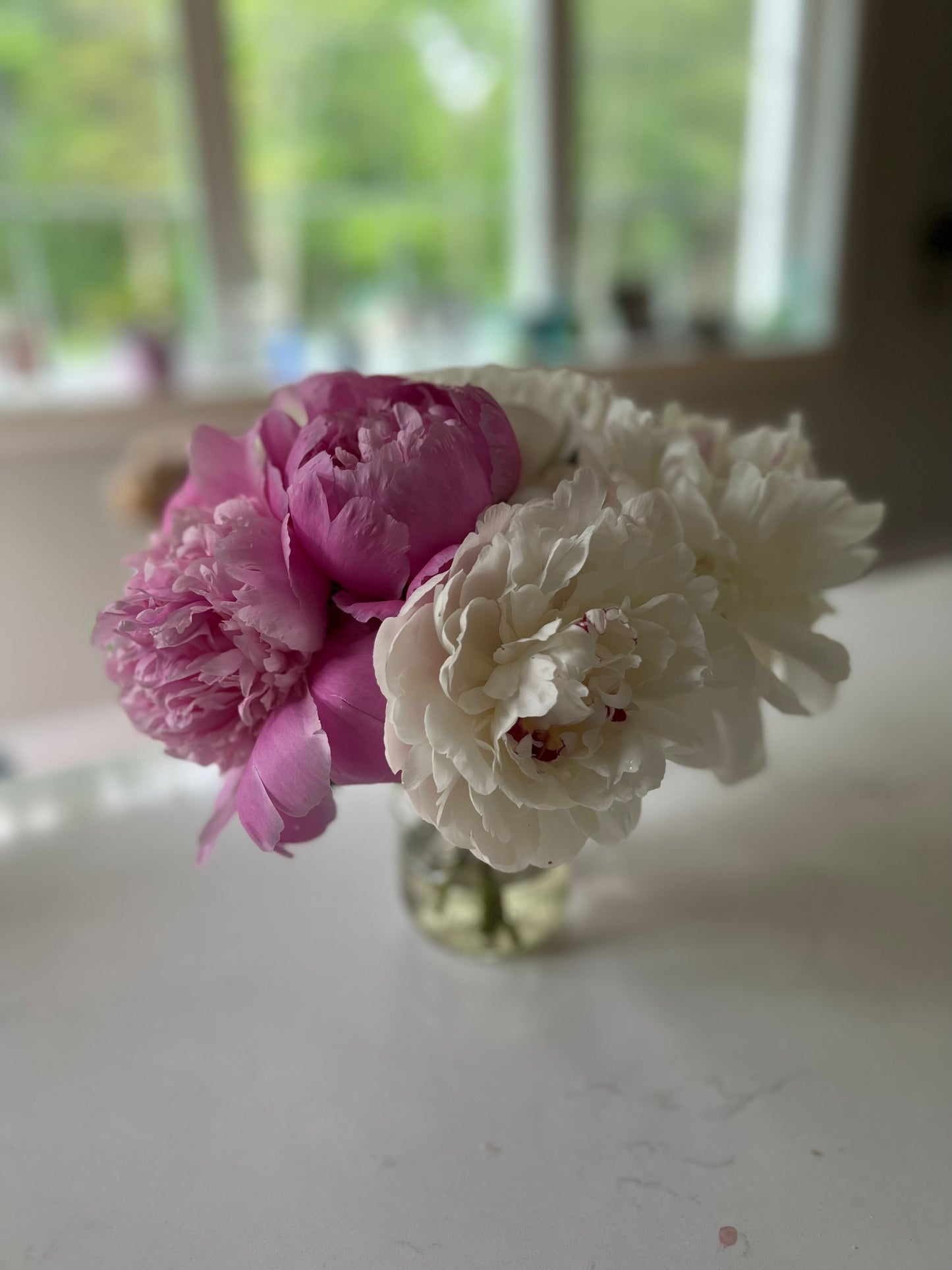 Peony bunch