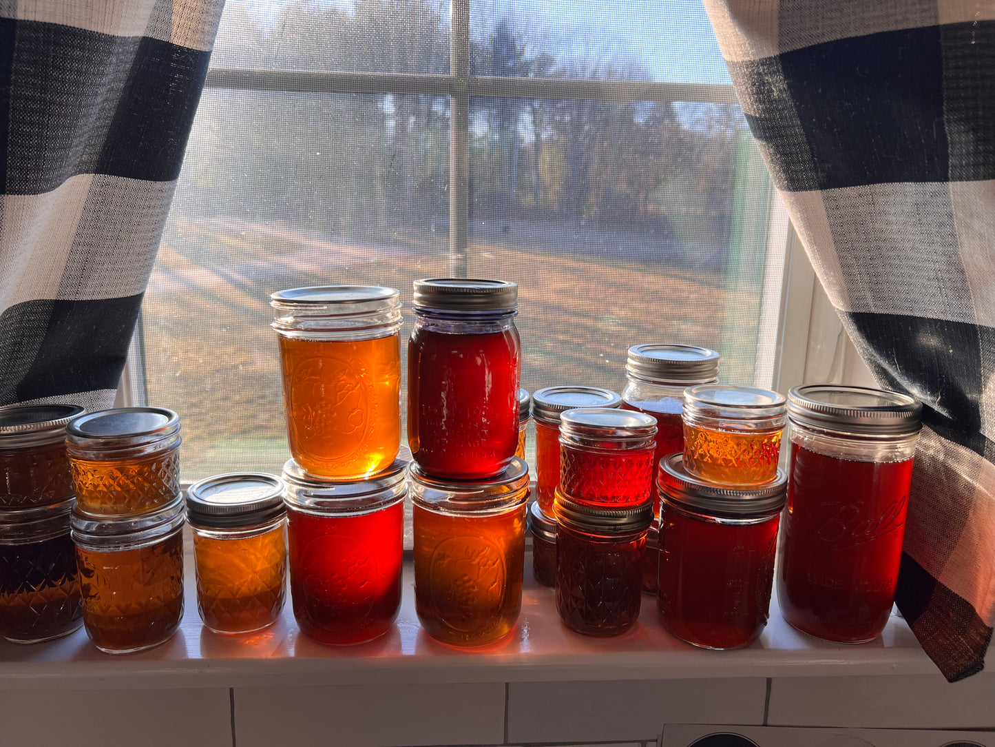Maple Syrup