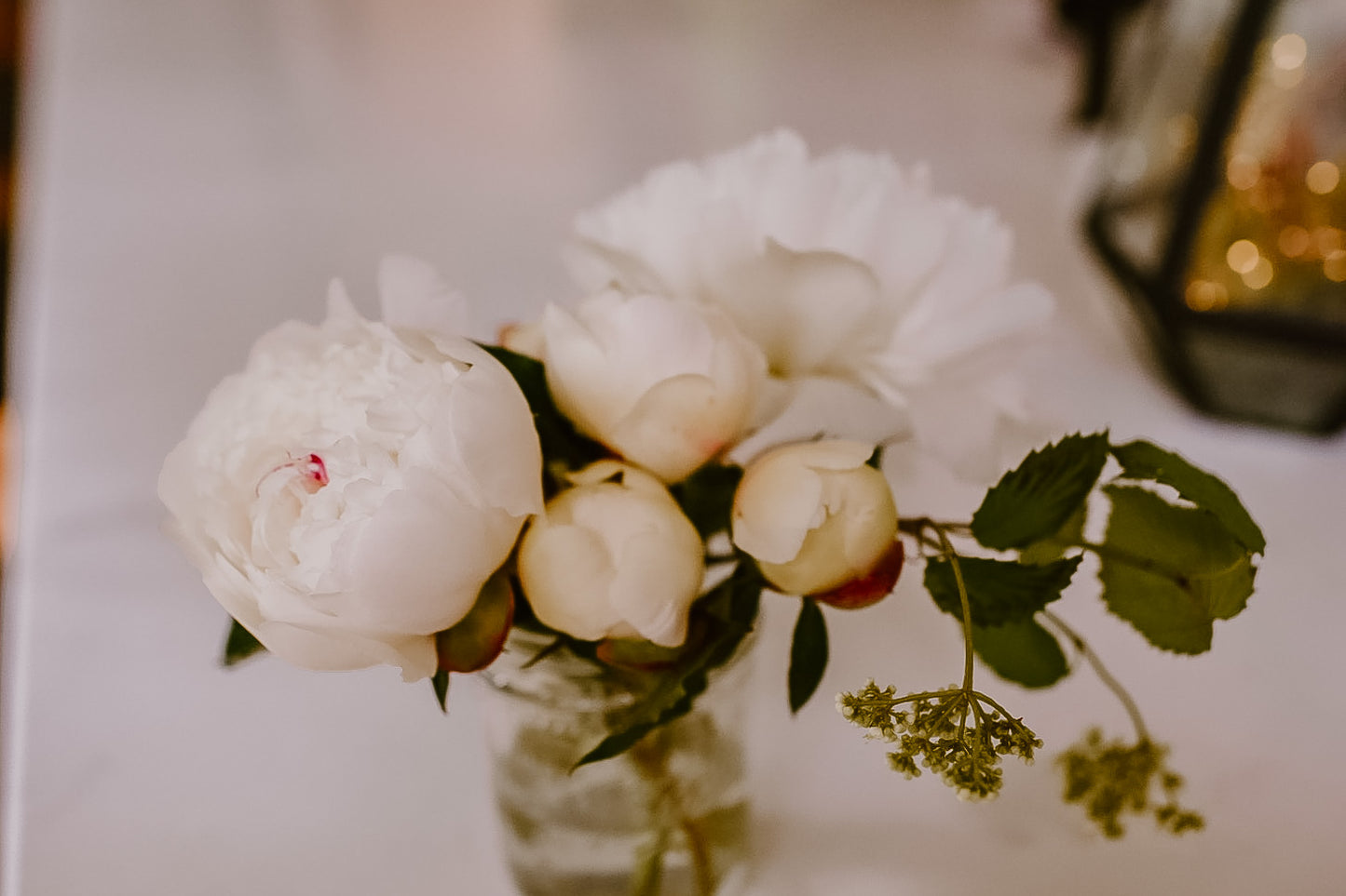 Peony bunch