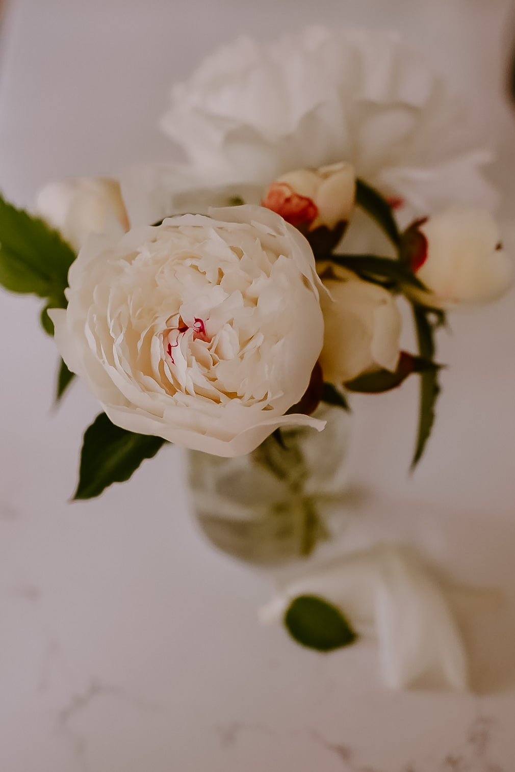 Peony bunch