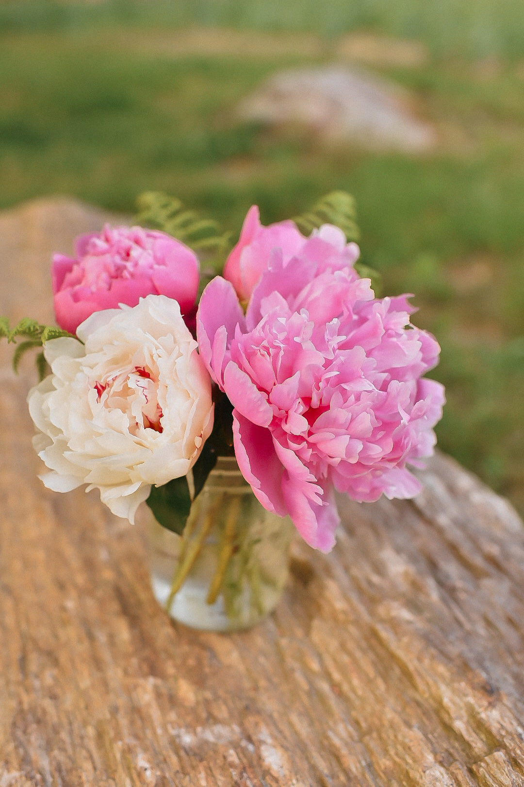 Peony bunch