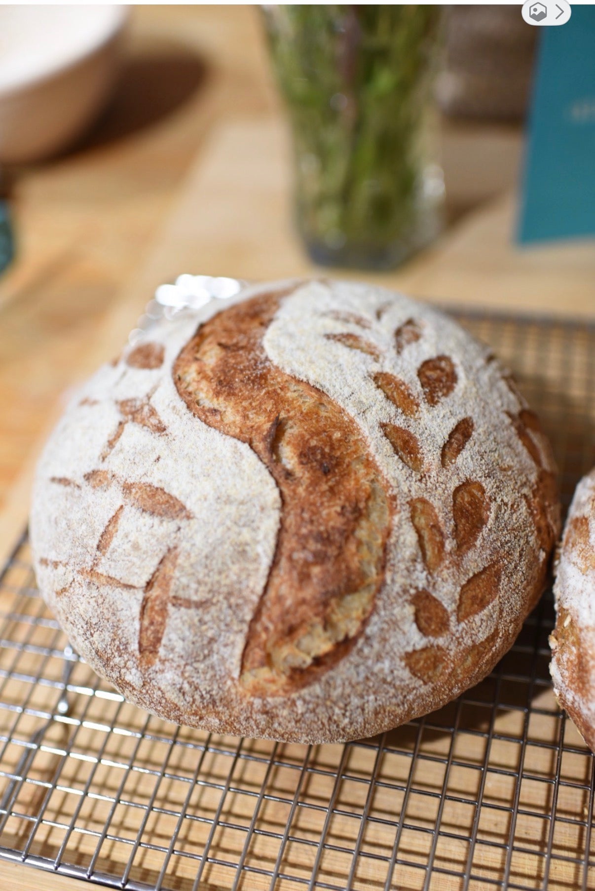 Sourdough Starter