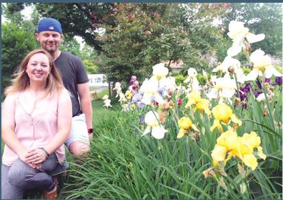Mystery Iris Rhizomes!