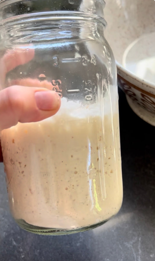 Sourdough Starter